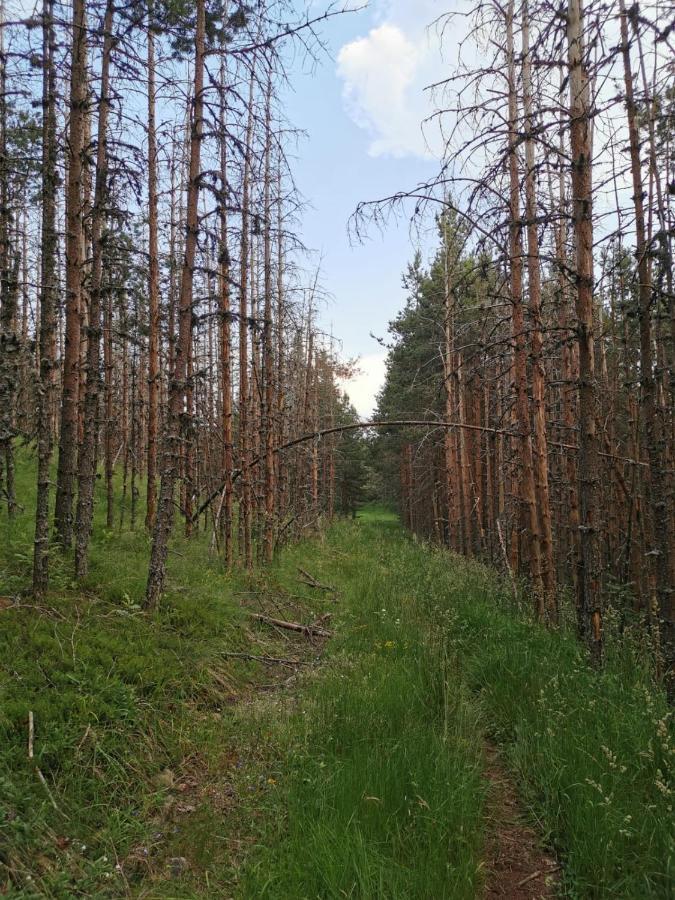 Готель Carobni Breg Мокра Гора Екстер'єр фото